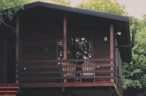 Walnut house